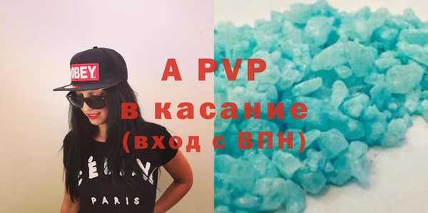 ПСИЛОЦИБИНОВЫЕ ГРИБЫ Магас