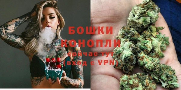 ПСИЛОЦИБИНОВЫЕ ГРИБЫ Магас