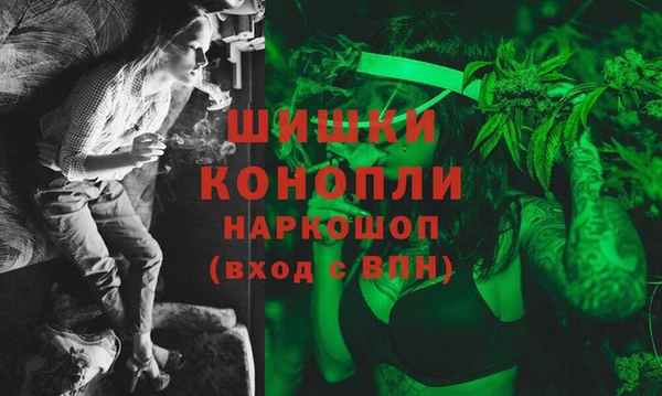 ПСИЛОЦИБИНОВЫЕ ГРИБЫ Магас
