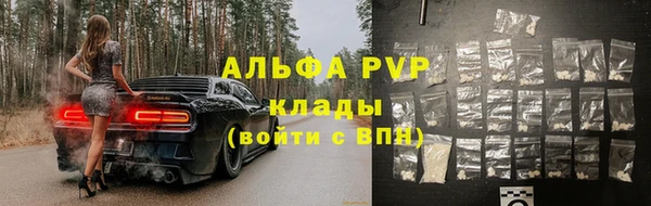ПСИЛОЦИБИНОВЫЕ ГРИБЫ Магас