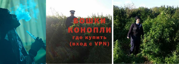 ПСИЛОЦИБИНОВЫЕ ГРИБЫ Магас