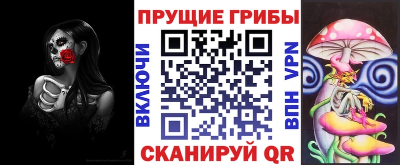 Купить закладки  Апшеронск  Галлюциногенные грибы Psilocybine cubensis 