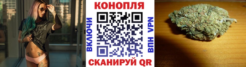 Купить  Апшеронск  Конопля сатива 